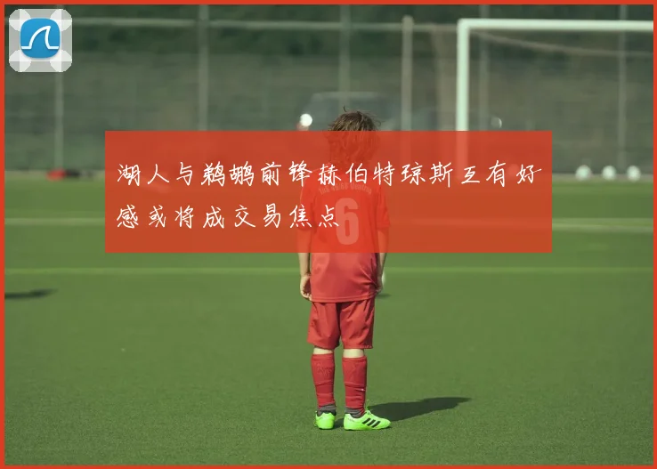 湖人与鹈鹕前锋赫伯特琼斯互有好感或将成交易焦点