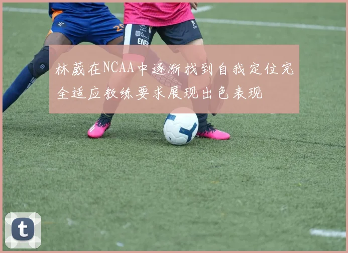 林葳在NCAA中逐渐找到自我定位完全适应教练要求展现出色表现