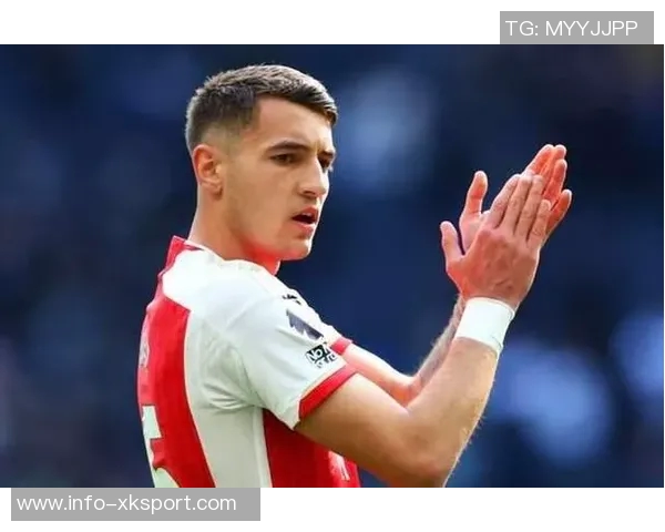 国米瞄准莱切20岁中卫加布里埃尔英超德甲球队同样表示关注